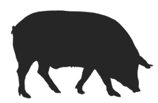 fisan.es : cerdo fisan