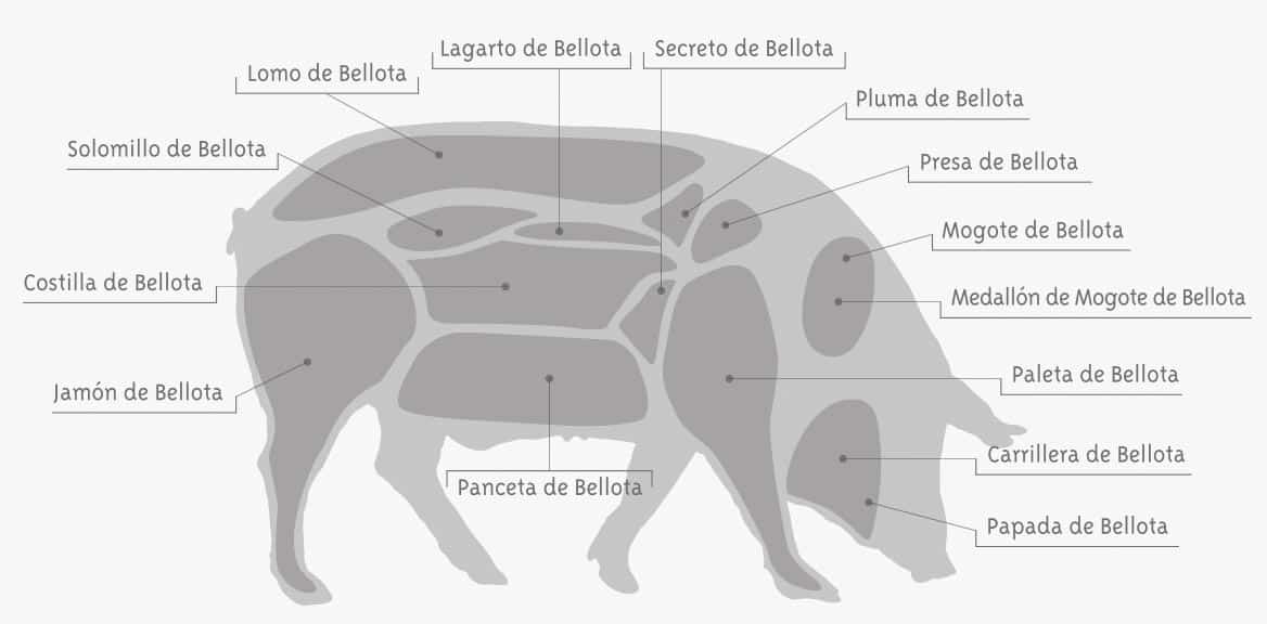 Partes del cerdo ibérico