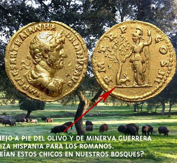 ROMANOS-Y-DEHESA