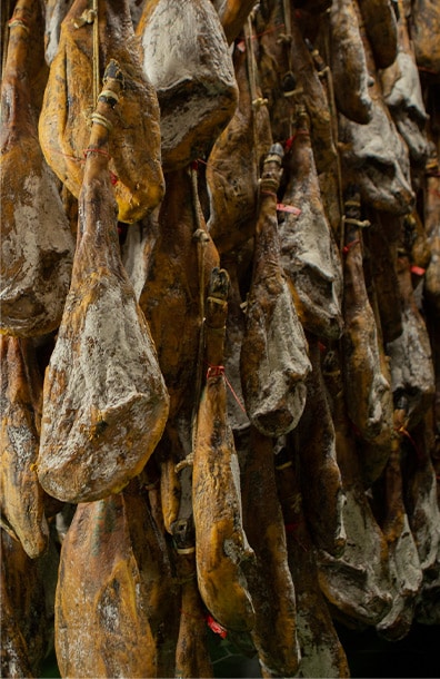 Paso 4: tiempo en bodega y curación del jamón