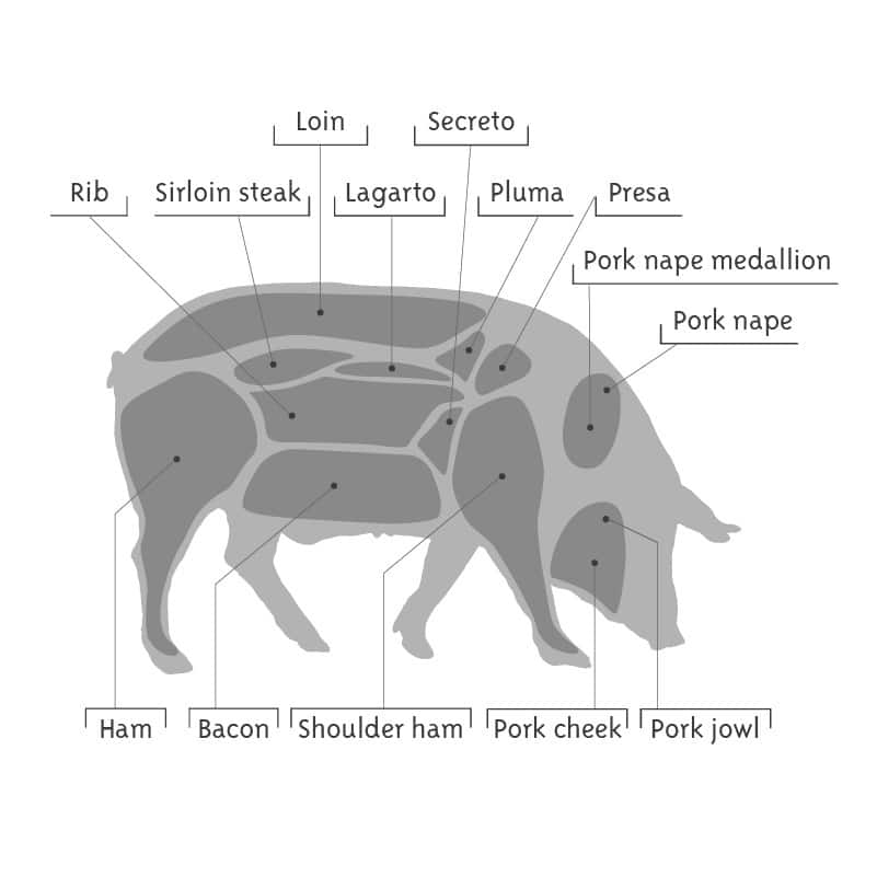 Partes del cerdo ibérico