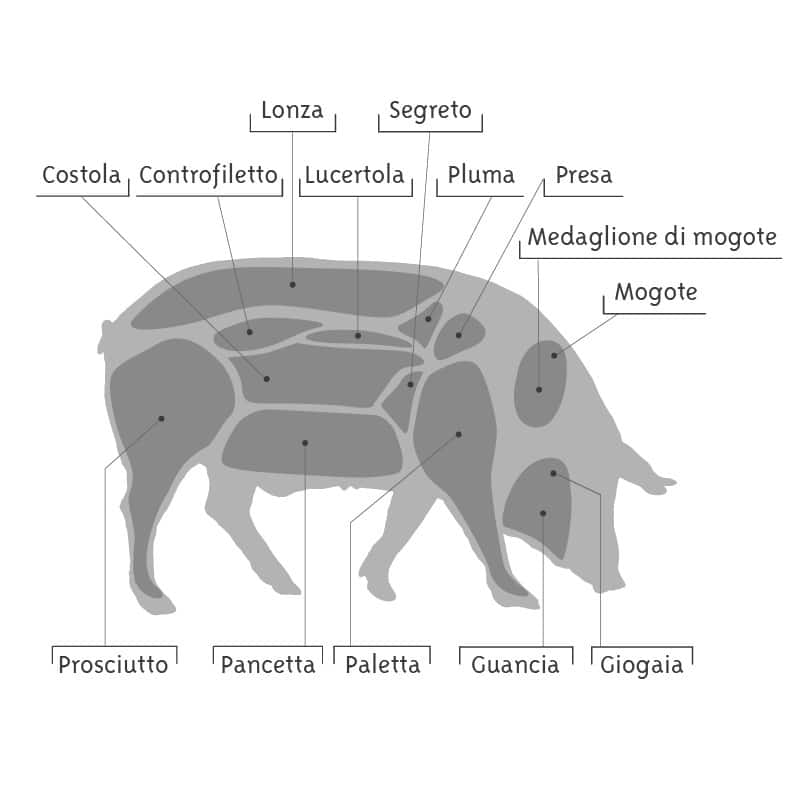 Parti del maiale iberico