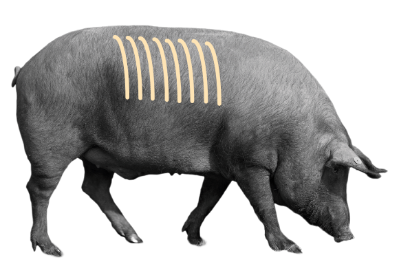 El chuletero de cerdo de bellota ibérico es un corte excepcional que tras su maduración se convierte en una pieza de alta cocina