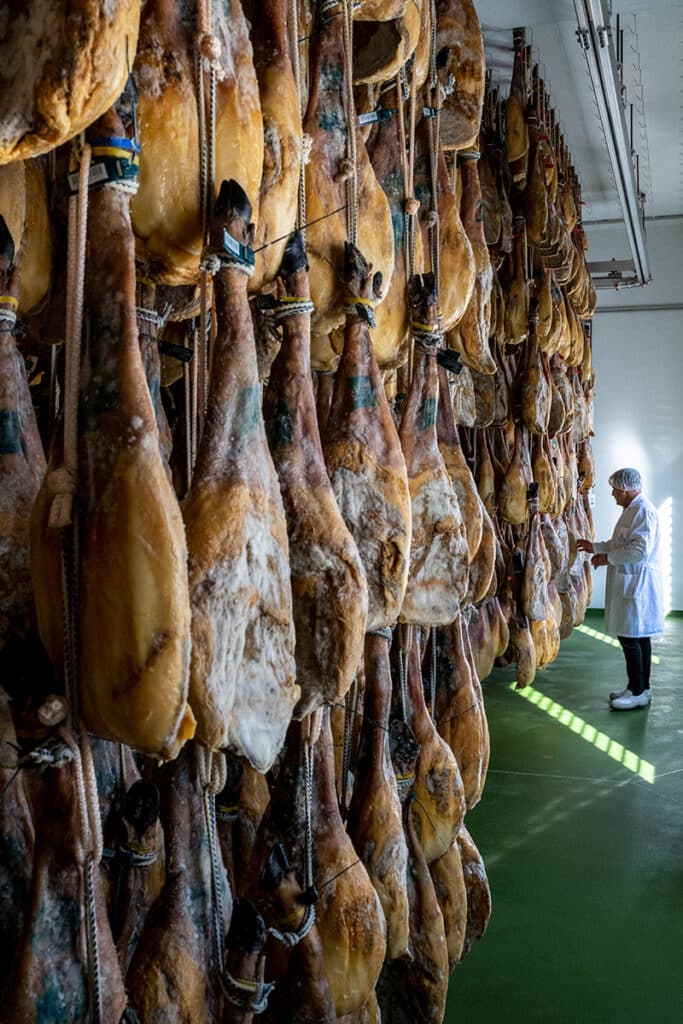 Piezas de jamón ibérico FISAN en curación